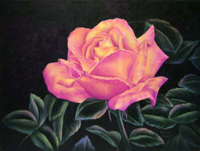 Peaceful Rose in Oil January 21, 2006