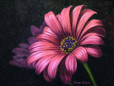 Gerber Daisy in Oil Completed May 26, 2006